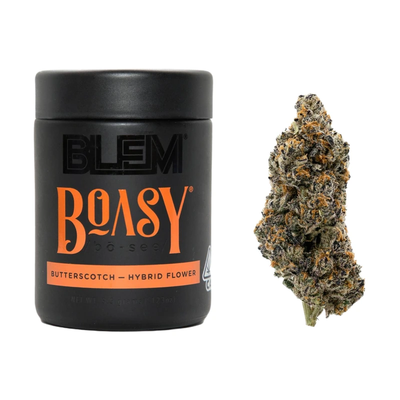 Boasy 3.5G