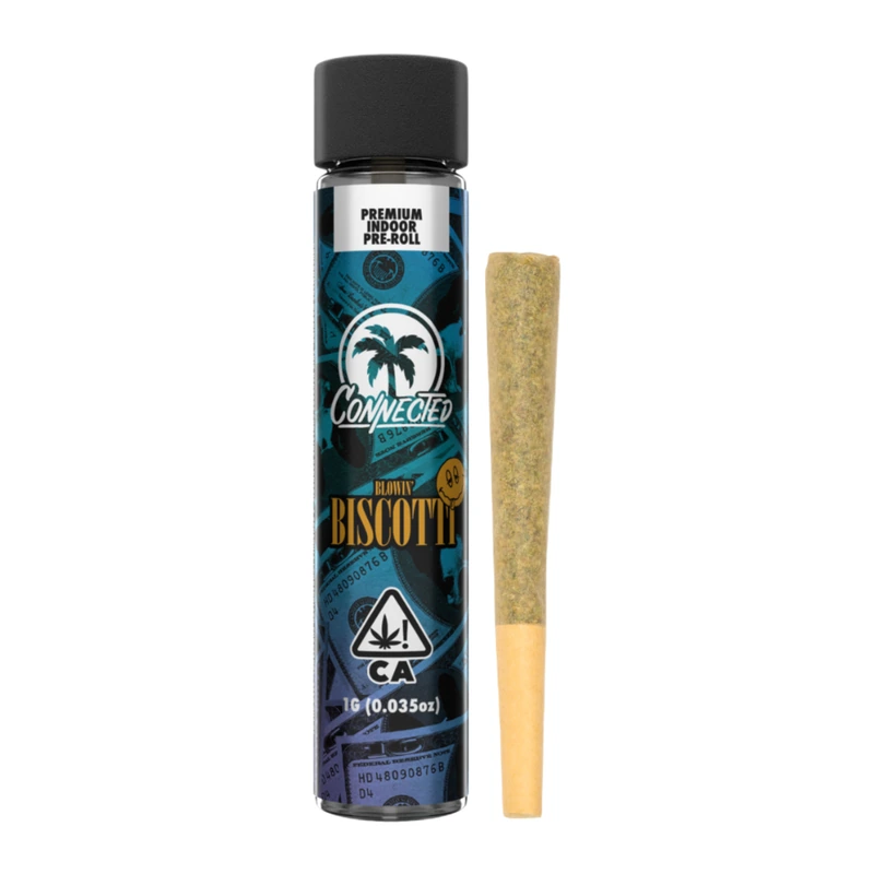 Connected: Biscotti Single