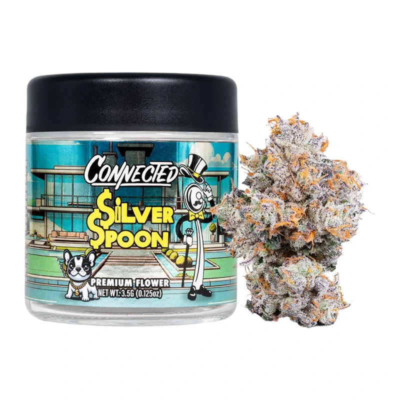 Connected: Silver Spoon