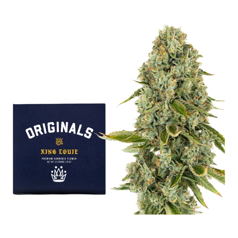 Originals: King Louie