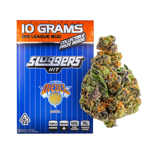 Sluggers: Nyc Diesel
