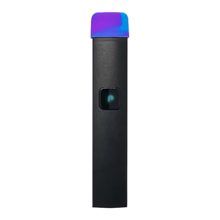 PlugPlay: Northern Lights
