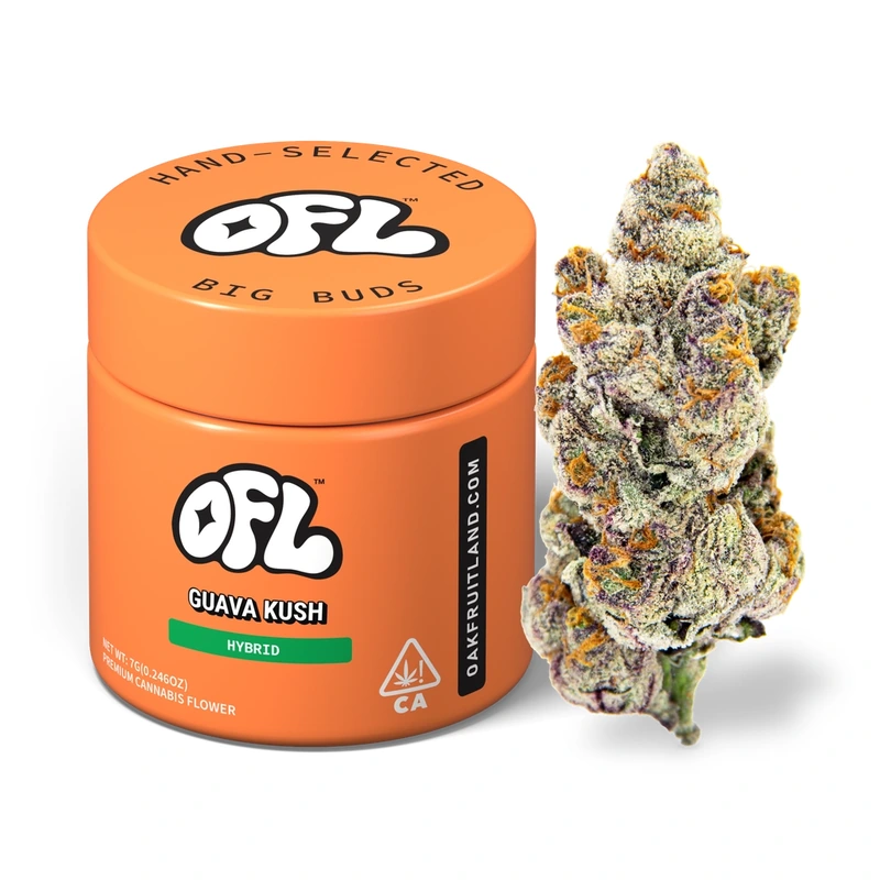GG#4 7G