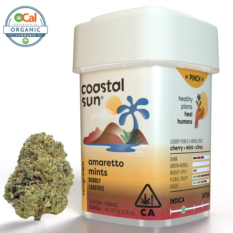 Coastal Sun: Amaretto Mints