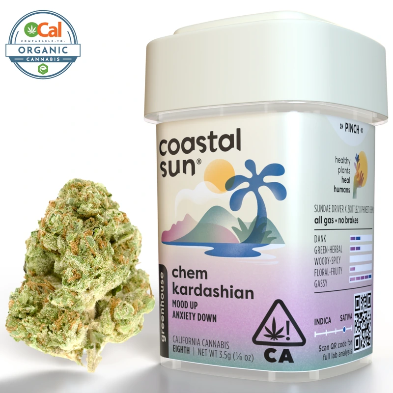 Coastal Sun: Chem Kardashian